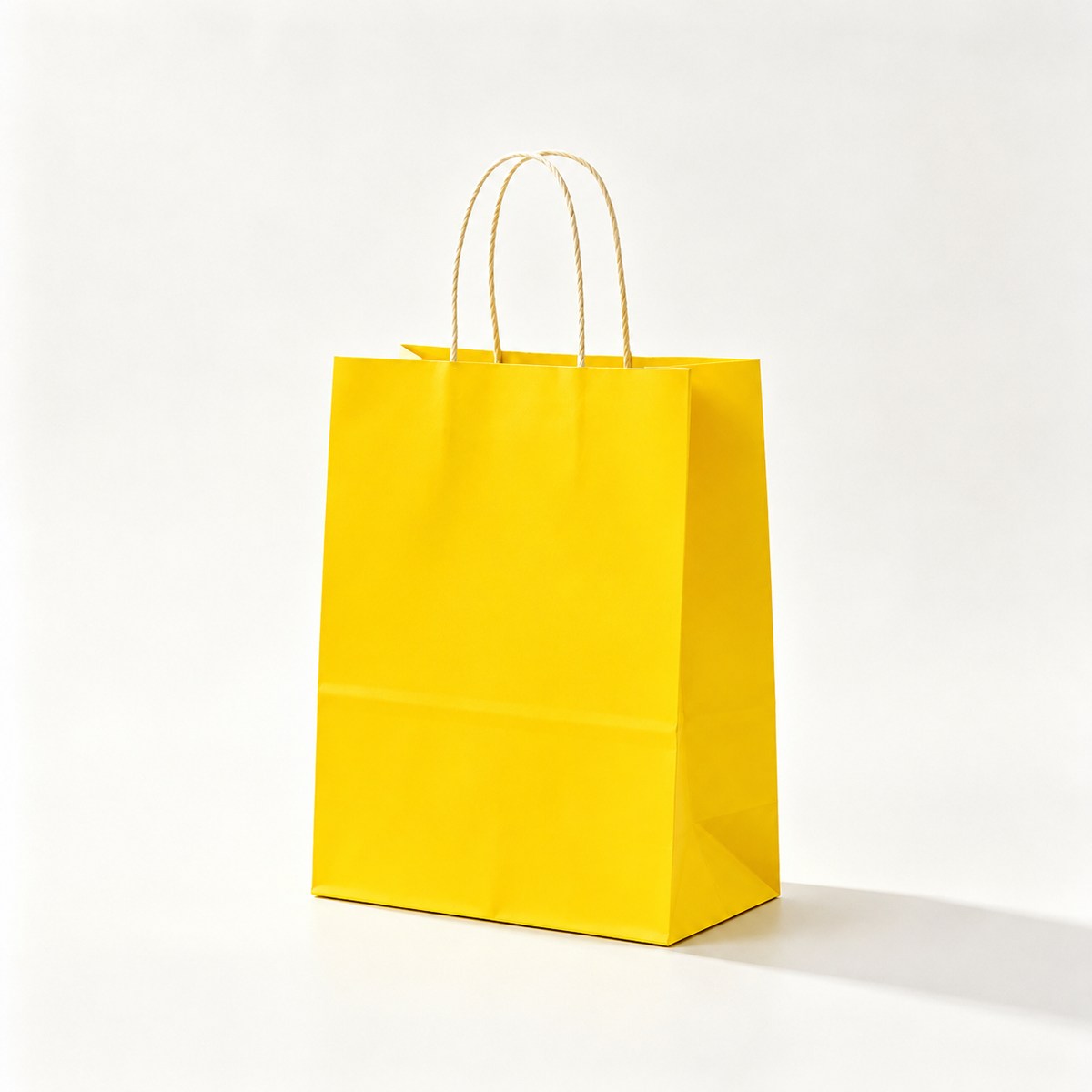 10 Custom Kraft Paper Shopping Bag