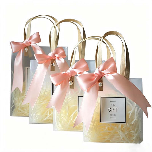 10 Transparent Gift Handbag with Bow