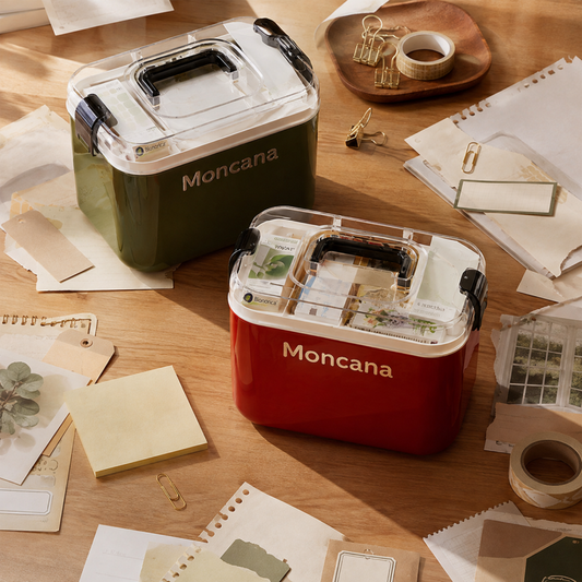 Large‑Capacity Home Medicine Storage Box