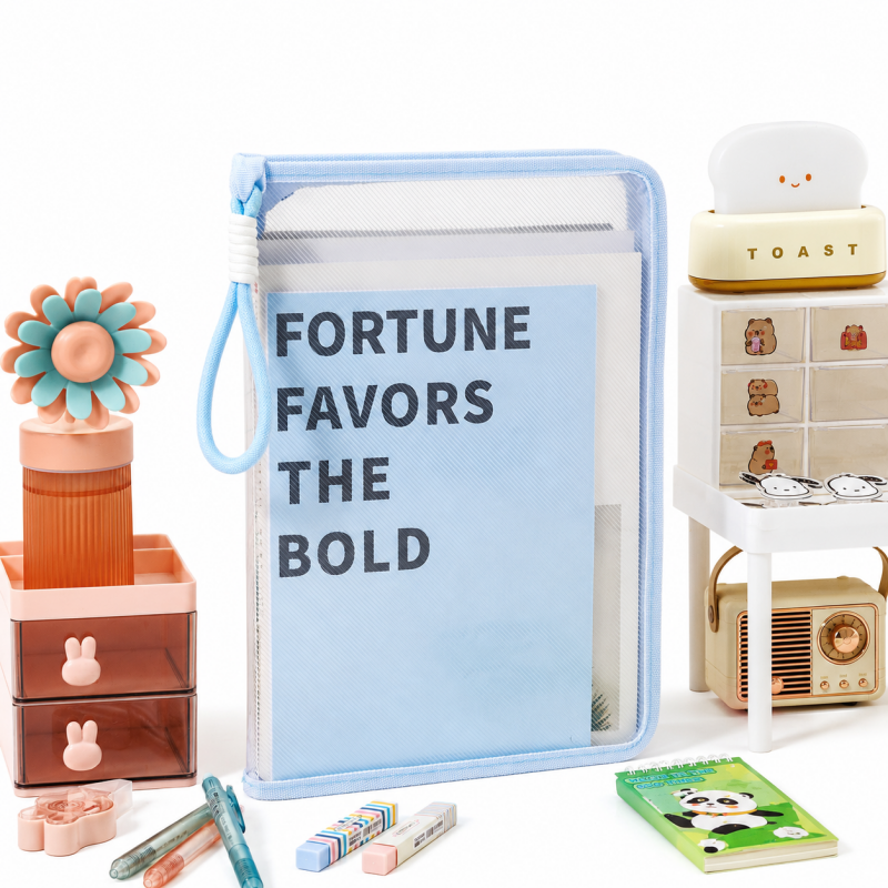 Pastel Transparent File Organizer Bag