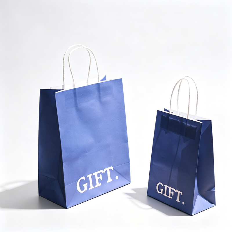 Illustrated Rope Handle Paper Gift Bag