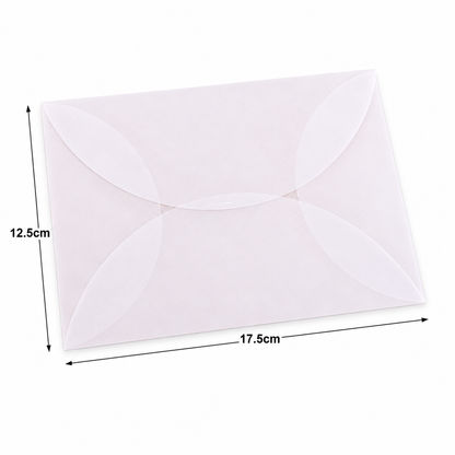 10 Frosted Translucent Vellum Envelopes