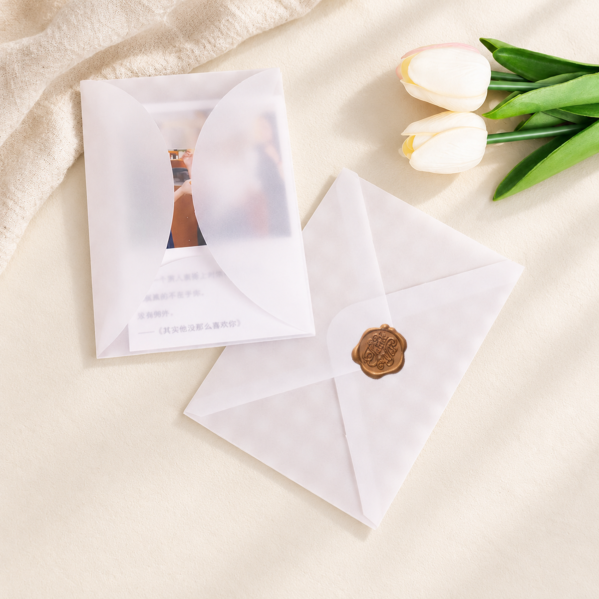 10 Frosted Translucent Vellum Envelopes
