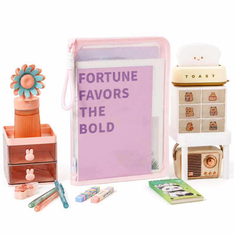 Pastel Transparent File Organizer Bag